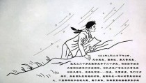 猫界异景：环球喵民代表大会爆笑倏得！及免费！半价！深圳妇女节优惠景区来啦，猫界异景：环球喵民代表大会爆笑倏得！，免费！半价！深圳妇女节优惠景区来啦