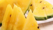 黑网料吃瓜网是什么